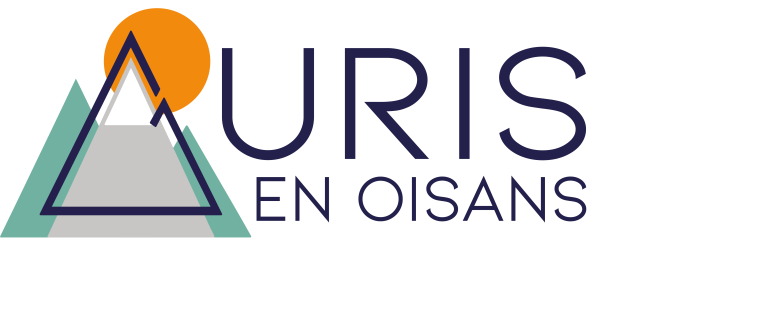 LOGO AURIS COULEUR