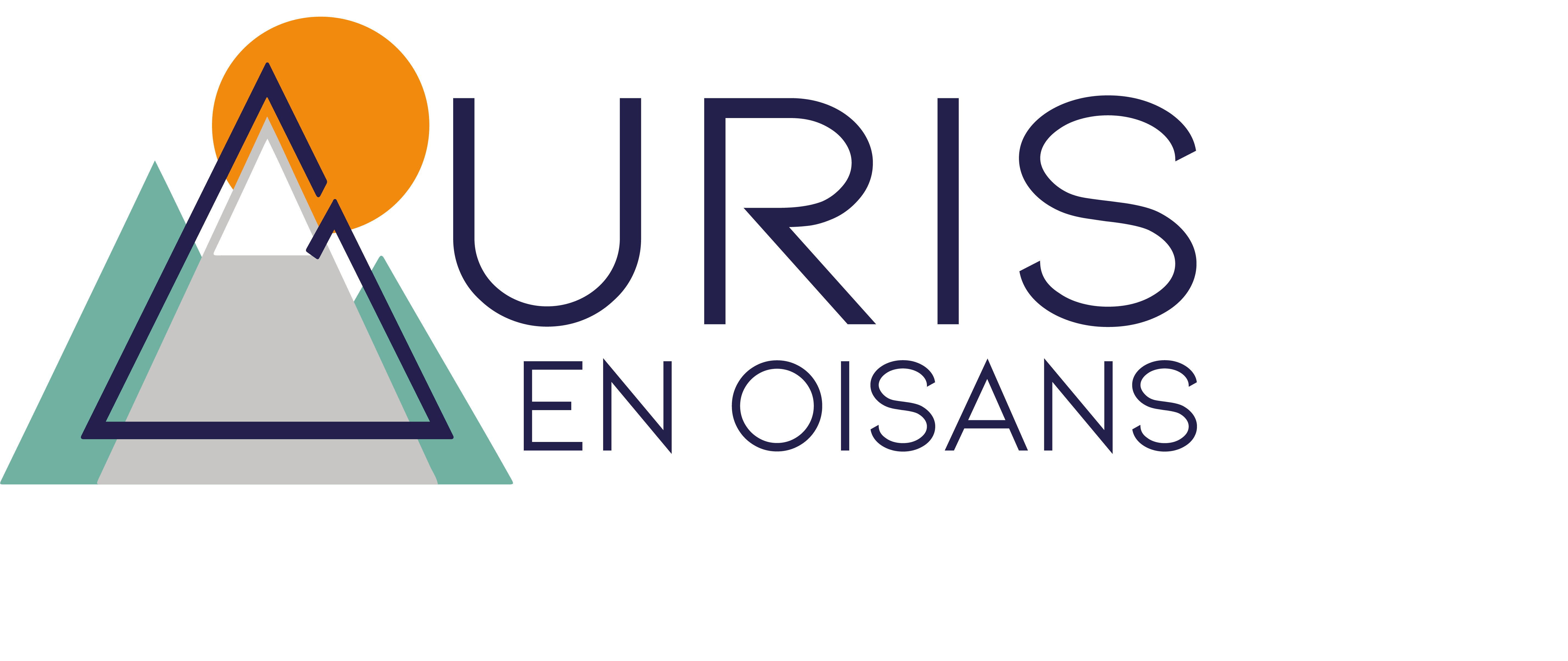 LOGO-AURIS-COULEUR-1.png