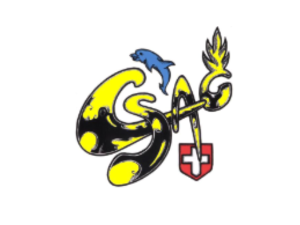 logo CSAG