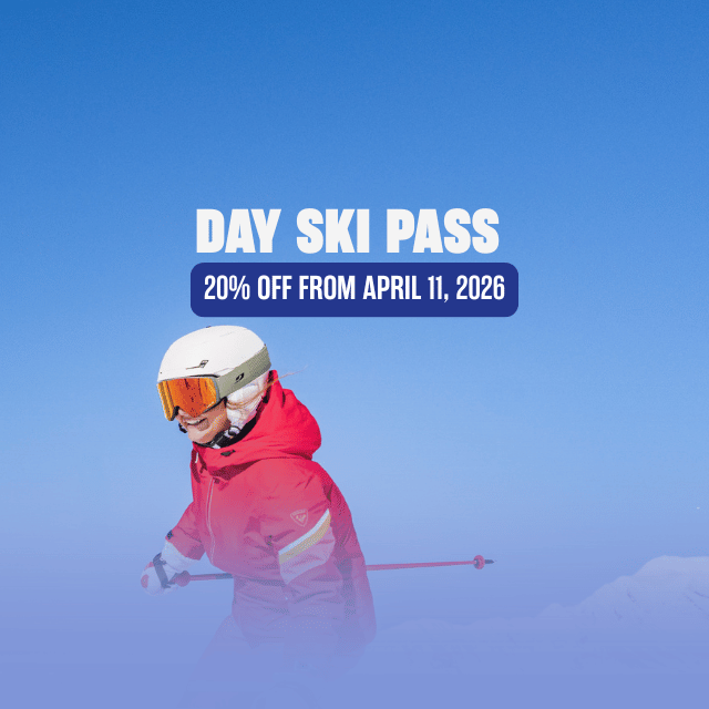 Day ski pass